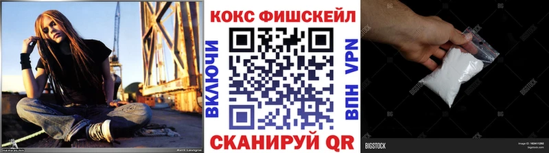 закладка  Беломорск  Cocaine Fish Scale 