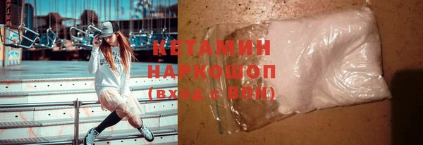 гидра Покачи