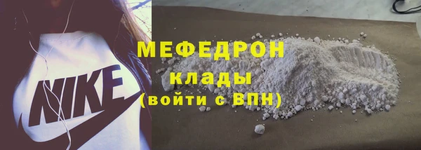 прущие грибы Заводоуковск