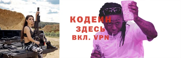 гидра Покачи