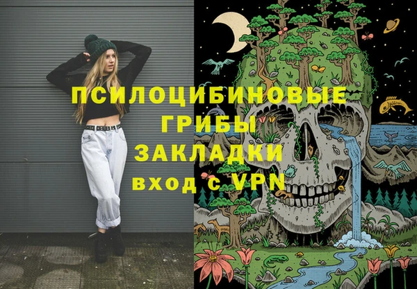 гидра Покачи