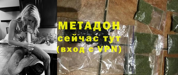 гидра Покачи