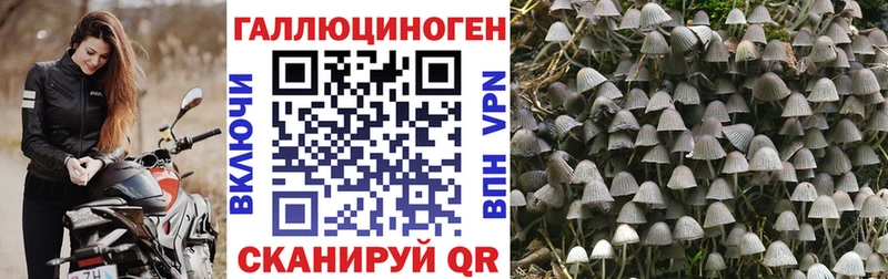 МЕГА маркетплейс  что такое   Беломорск  Галлюциногенные грибы ЛСД 