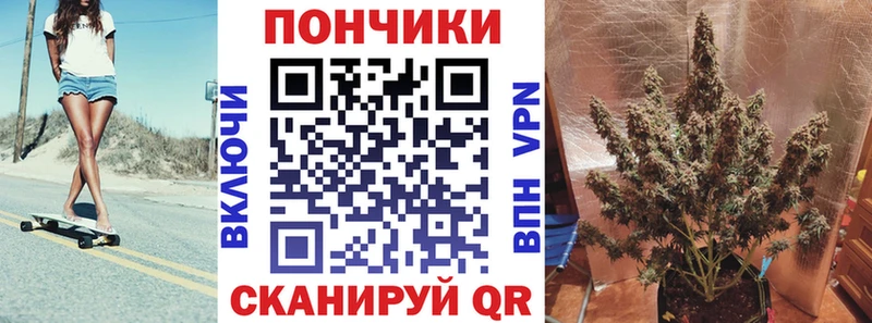 Шишки марихуана план это как зайти Беломорск ссылка на мегу tor